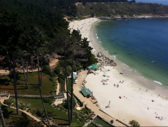 Hermoso Departamento Vista Al Mar El Canelillo Apartamento *