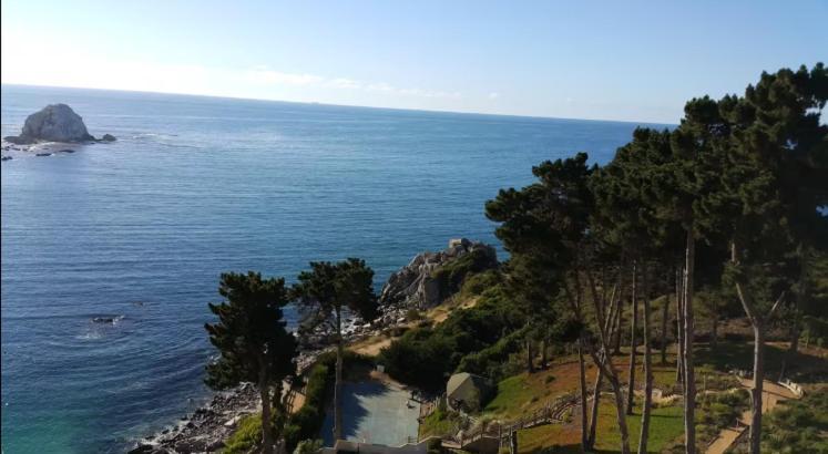Hermoso Departamento Vista Al Mar El Canelillo Apartamento *